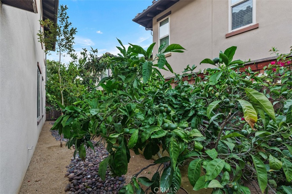 33491 Sea Bright Drive