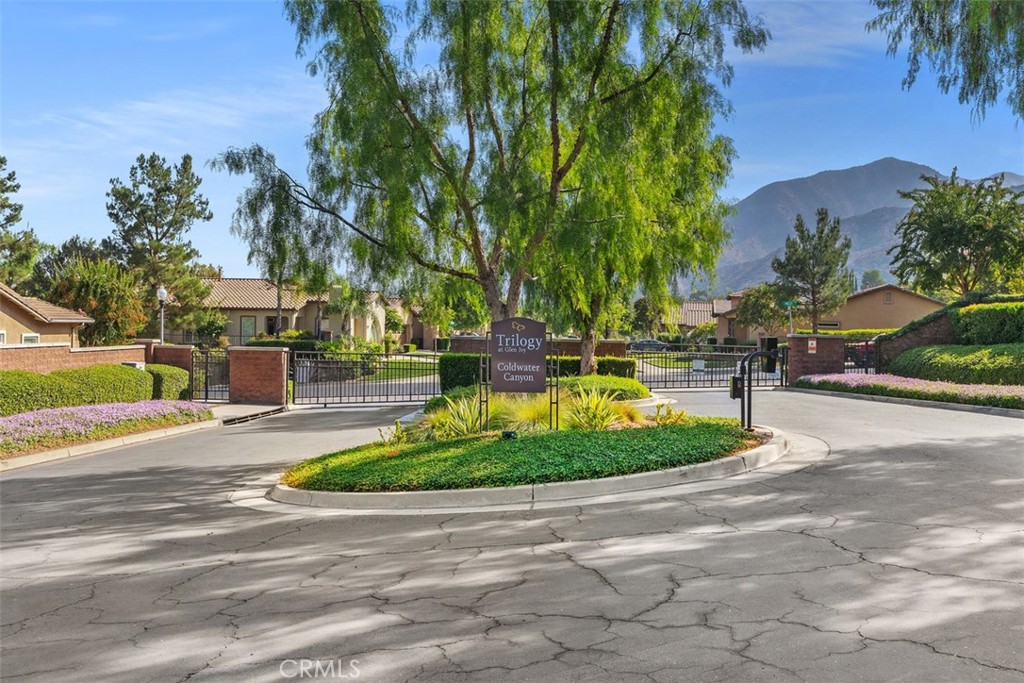 24116 Whitetail Drive