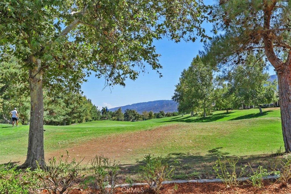 24116 Whitetail Drive