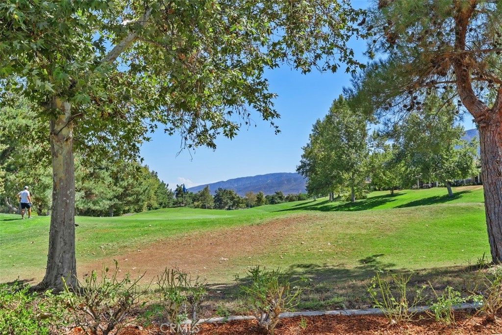 24116 Whitetail Drive