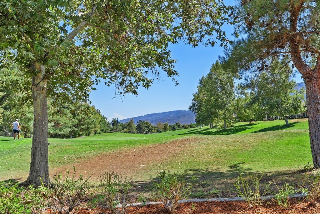 24116 Whitetail Drive