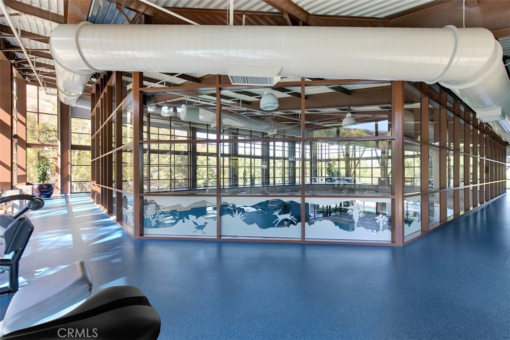 24116 Whitetail Drive