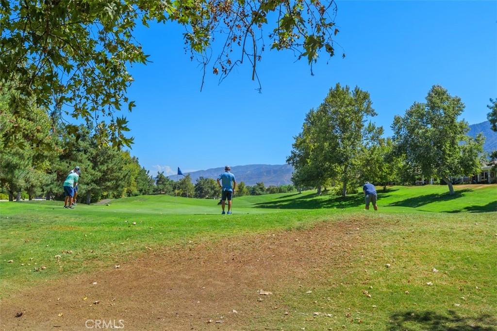 24116 Whitetail Drive