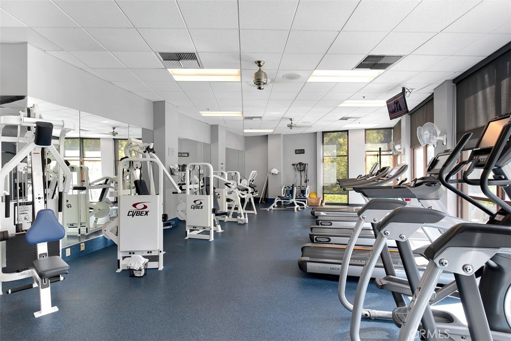 24116 Whitetail Drive