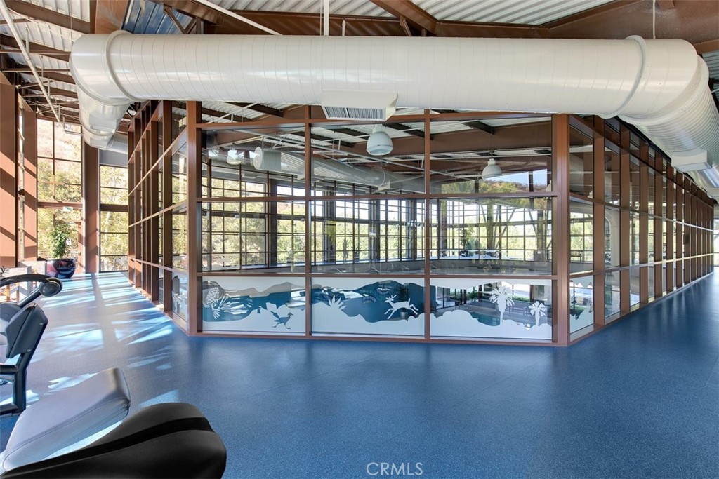 24116 Whitetail Drive