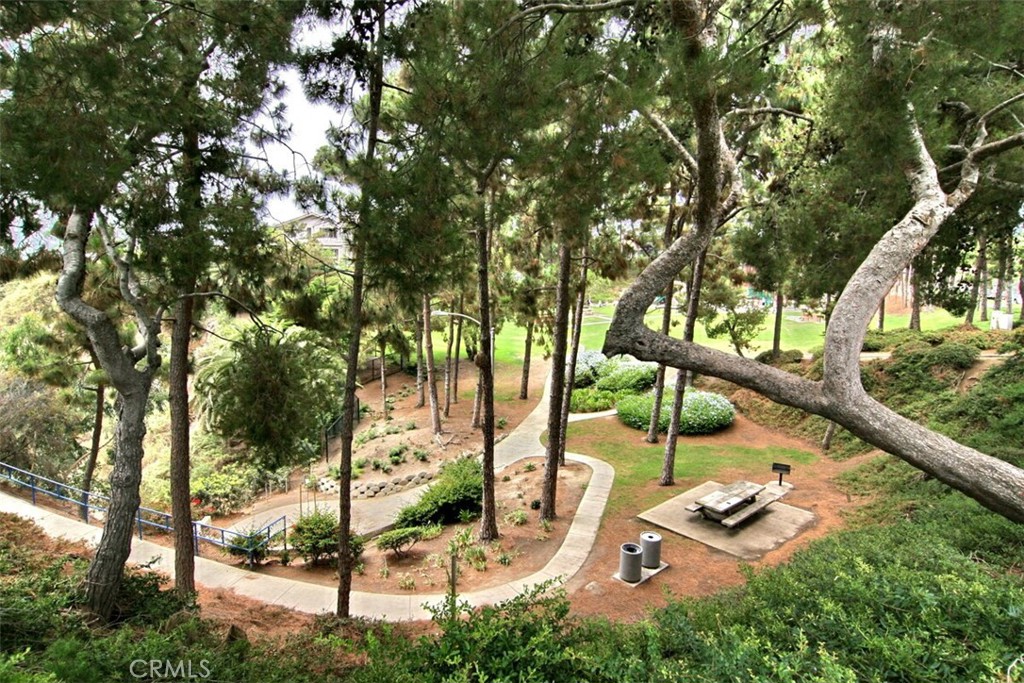 33602 Blue Lantern Street B