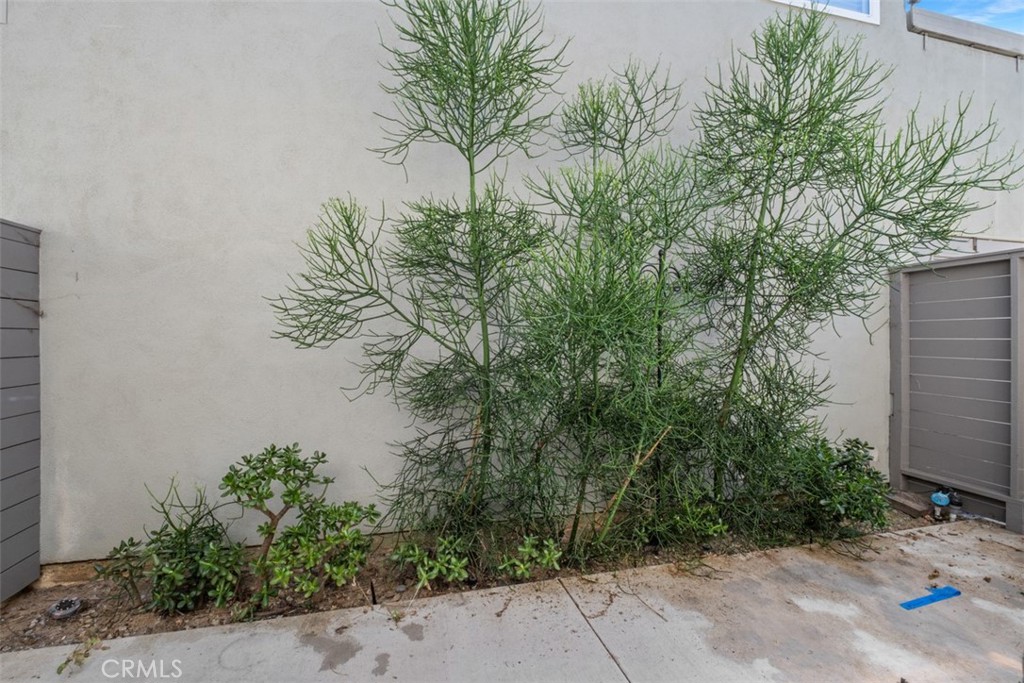 33602 Blue Lantern Street B