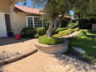 10821 Vida Drive 4