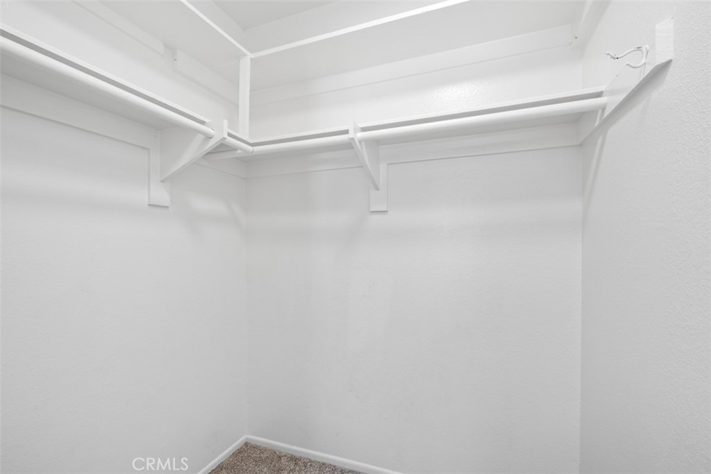 33602 Blue Lantern Street D