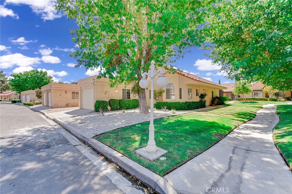 19039 Frances Street