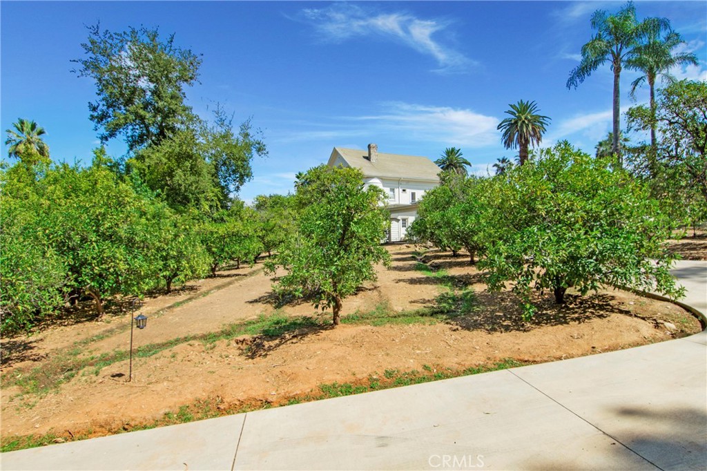 560 Terracina Boulevard