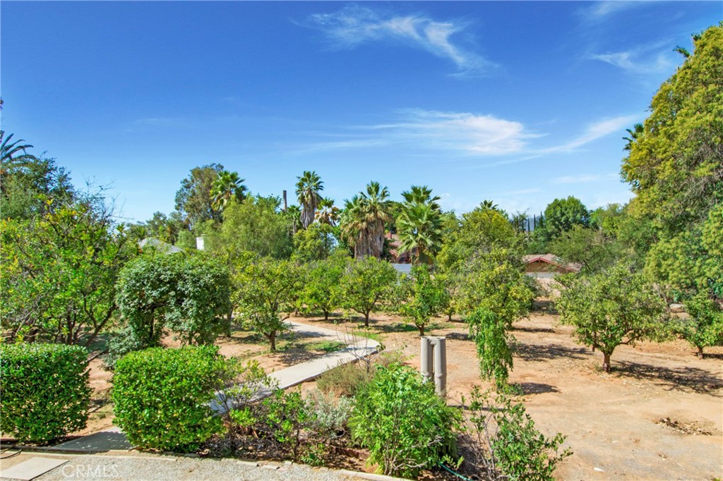 560 Terracina Boulevard