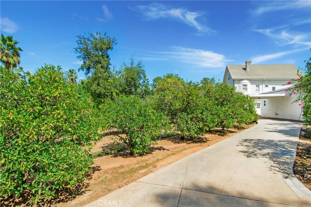 560 Terracina Boulevard