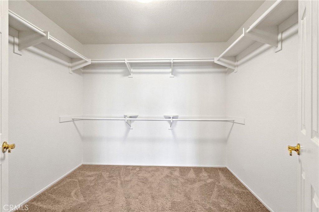 2846 W Calle Esteban