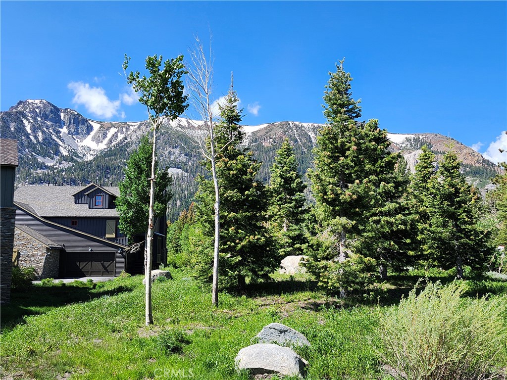 1157 Red Peak Drive
