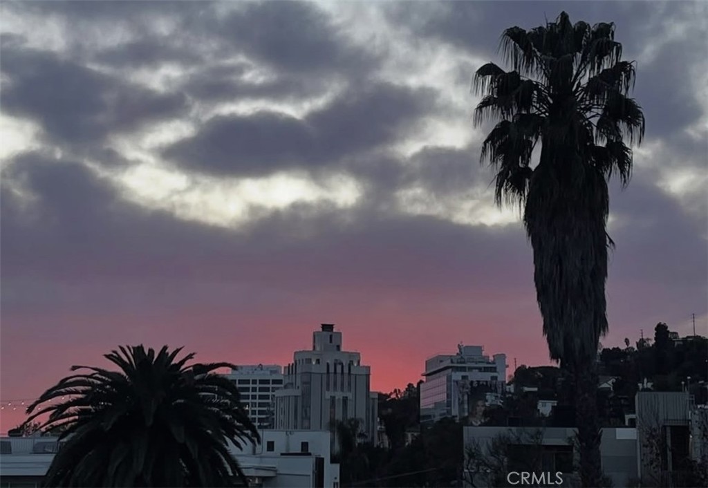 1351 N Crescent Heights Boulevard 313