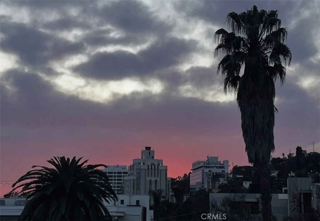 1351 N Crescent Heights Boulevard 313