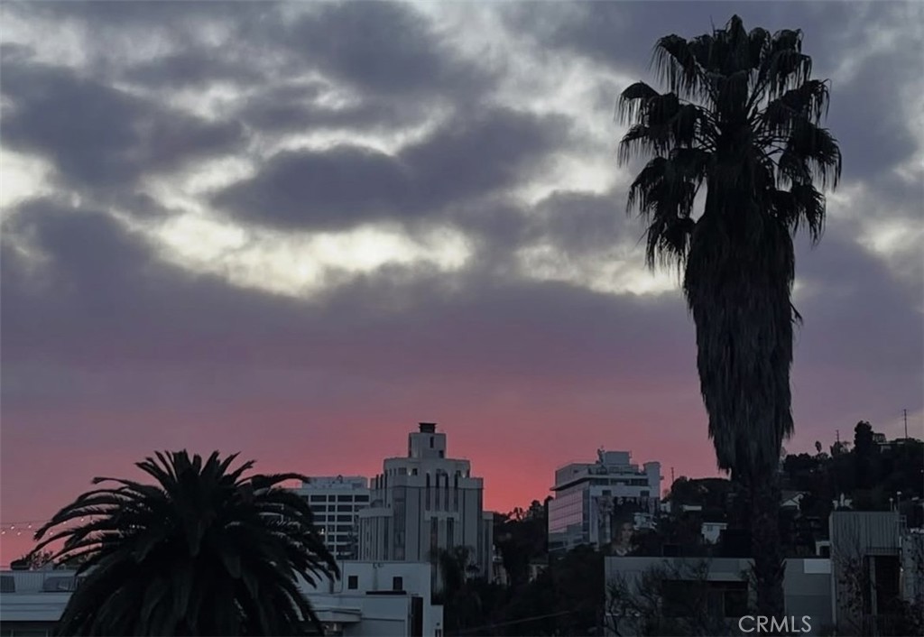 1351 N Crescent Heights Boulevard 313