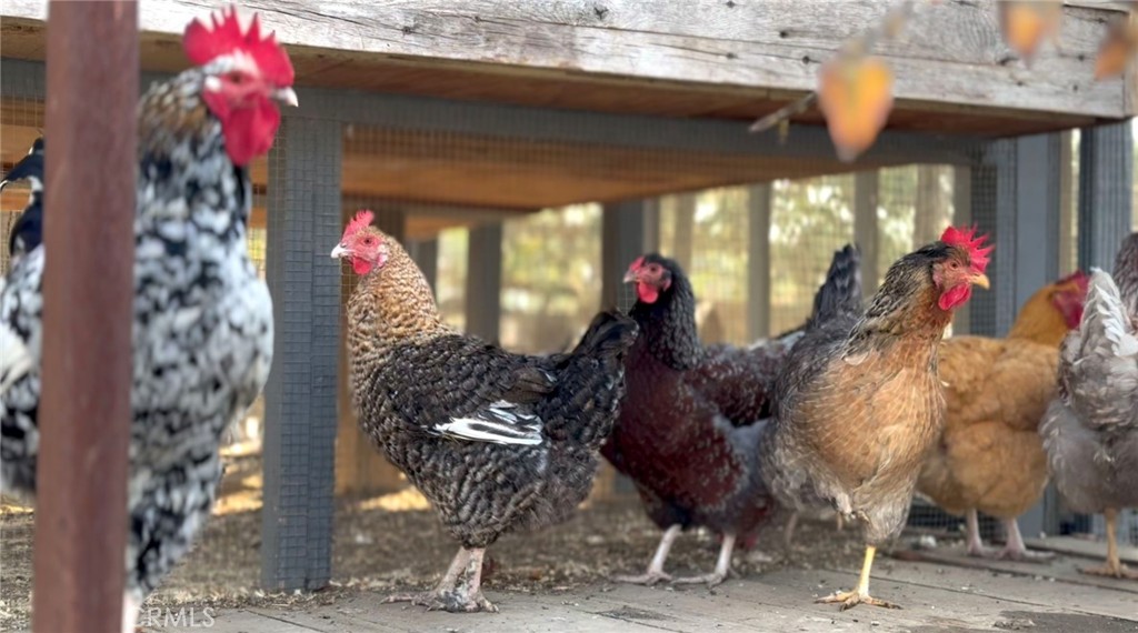 27151 Mission Hills Drive