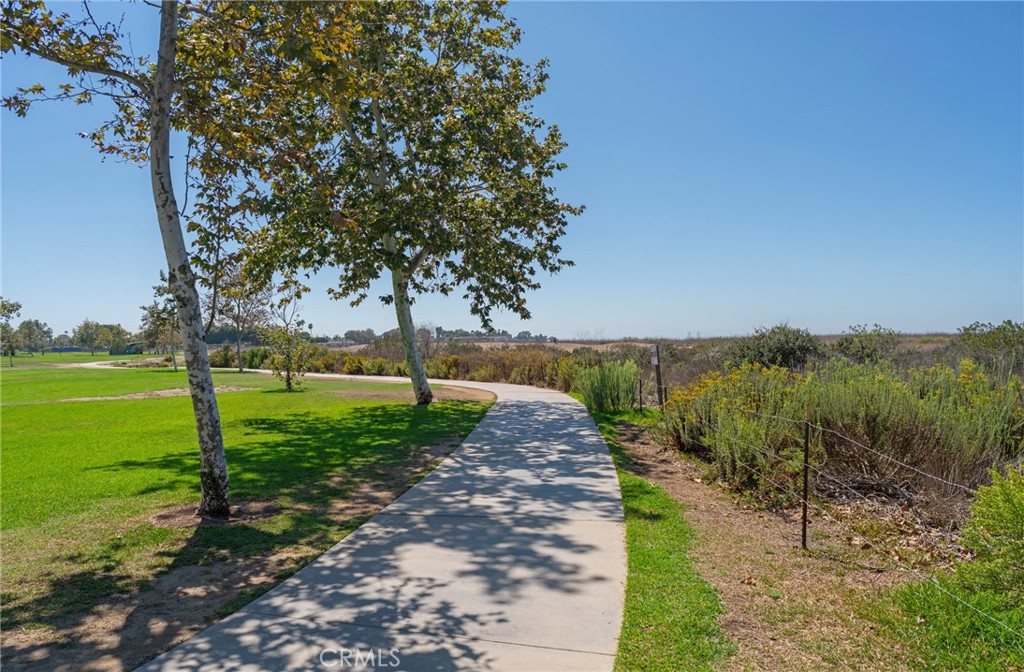 1105 #2 Mesa Bluff
