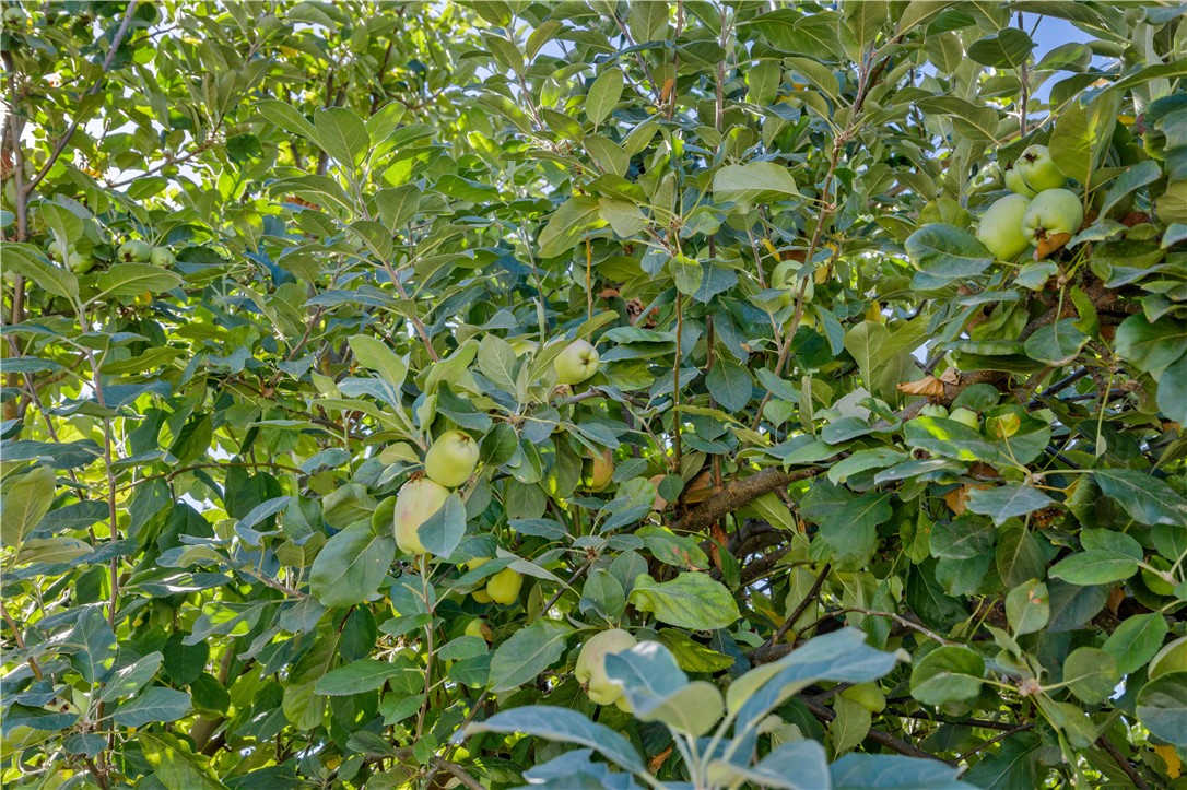 1007 S Magnolia Avenue