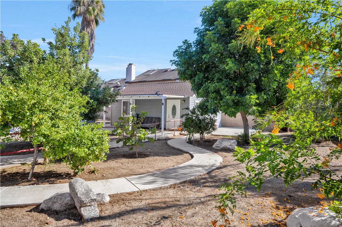 1007 S Magnolia Avenue