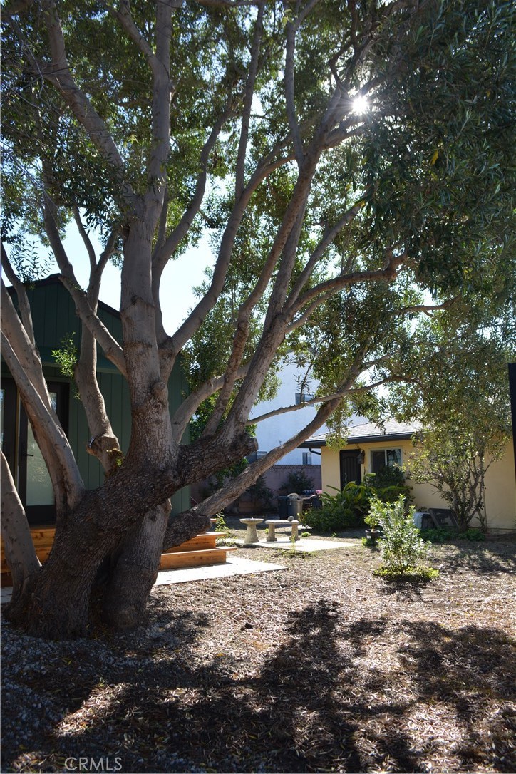 17126 Sandra Lee Lane