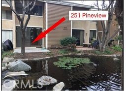 251 Pineview