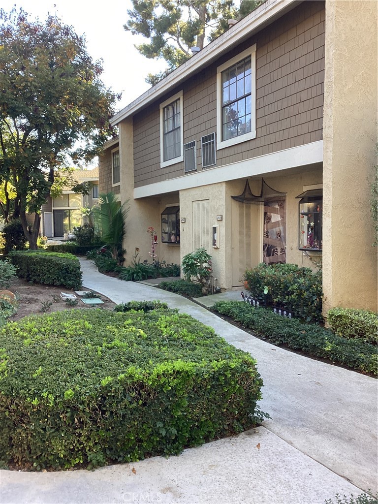 251 Pineview