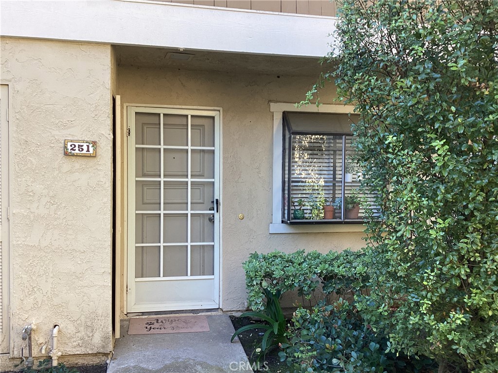 251 Pineview