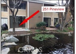 251 Pineview