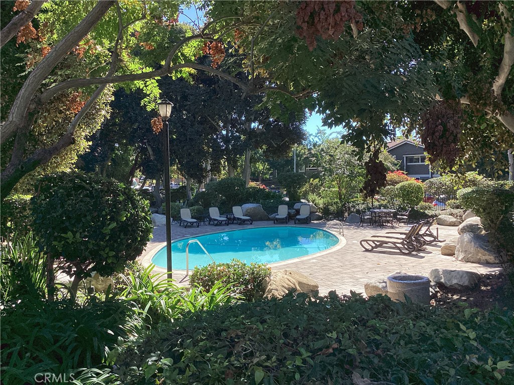 251 Pineview