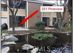 251 Pineview