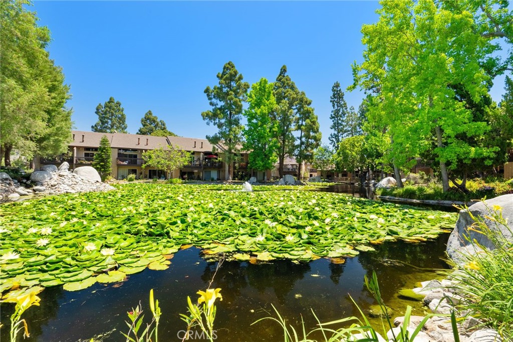 7890 E Spring Street 19K