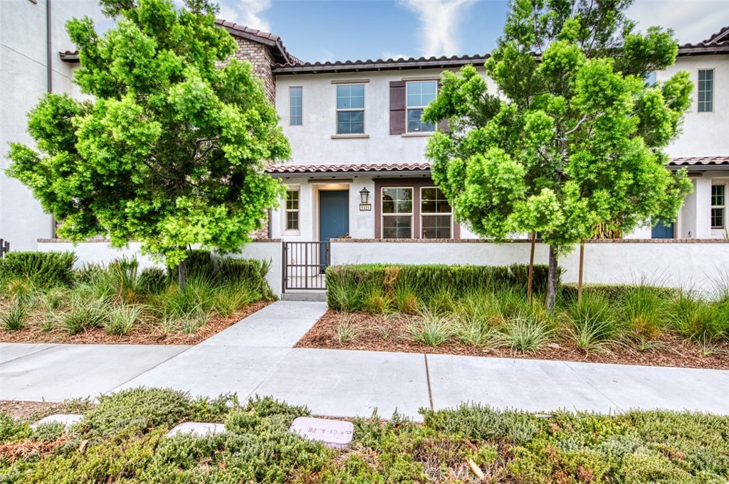 8416 Explorer Street