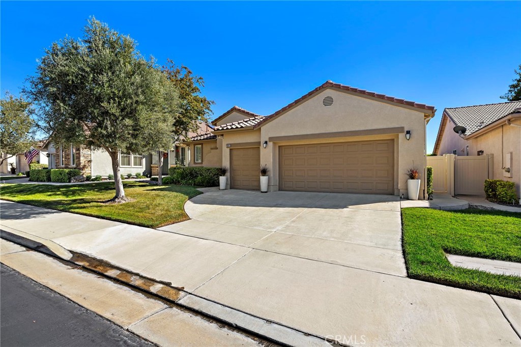 28545 Raintree