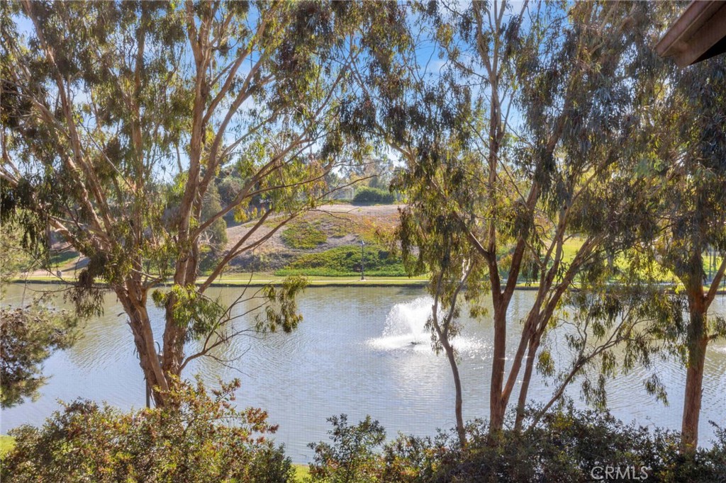 514 Calle Montecito 78