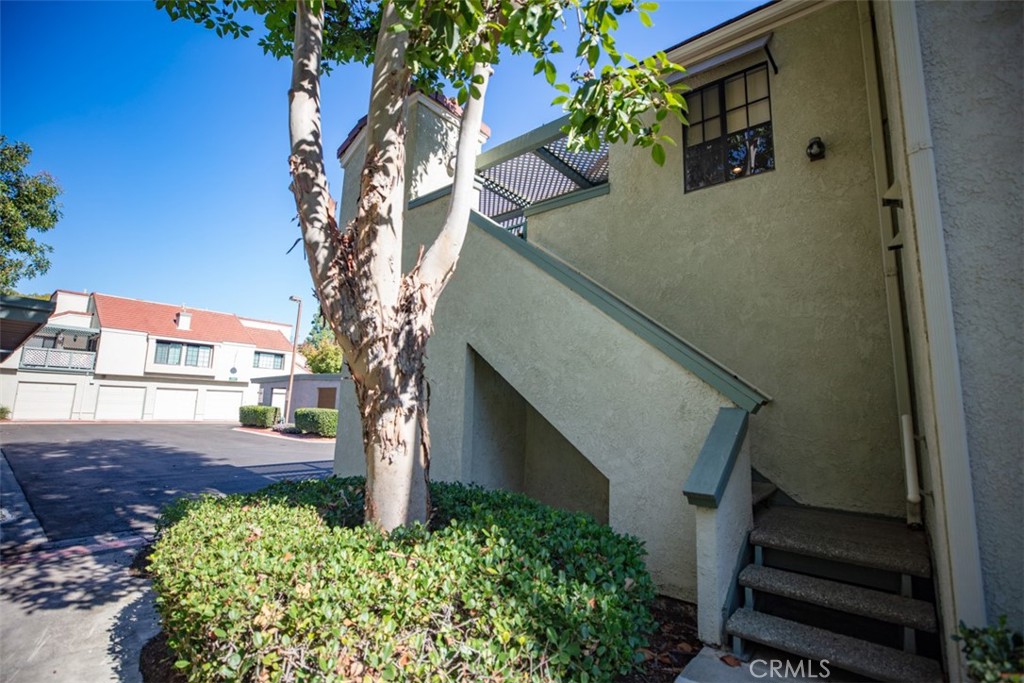 3520 F W Sweetbay Court