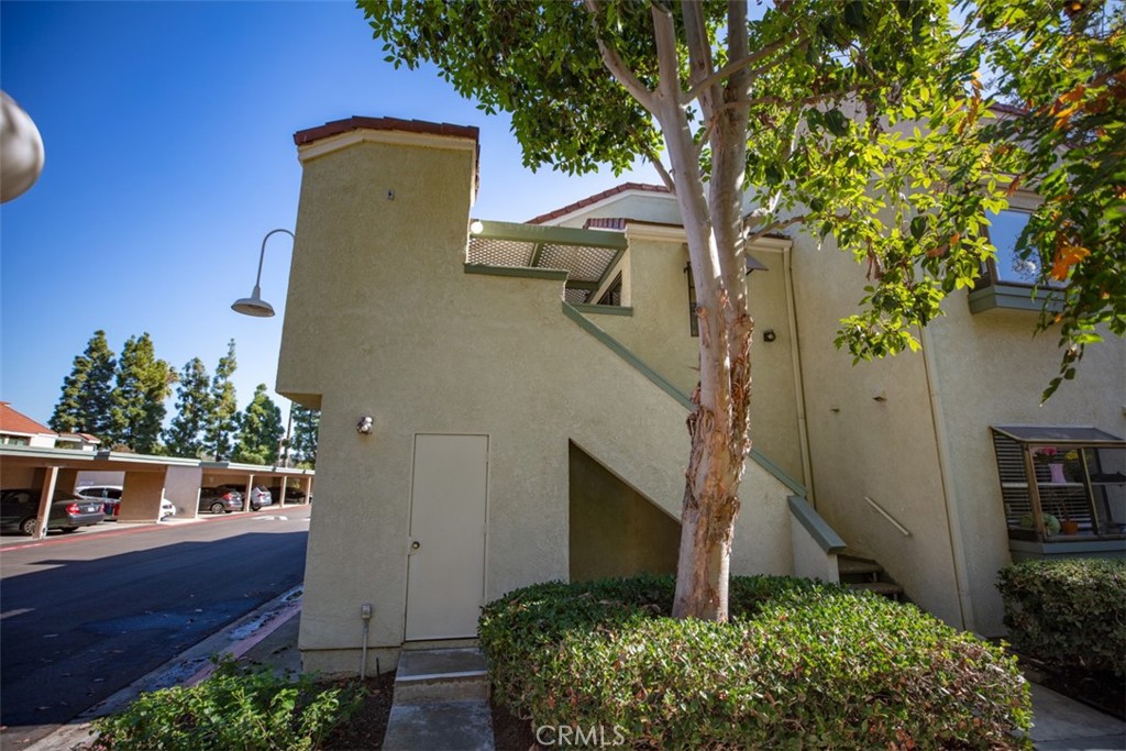 3520 F W Sweetbay Court