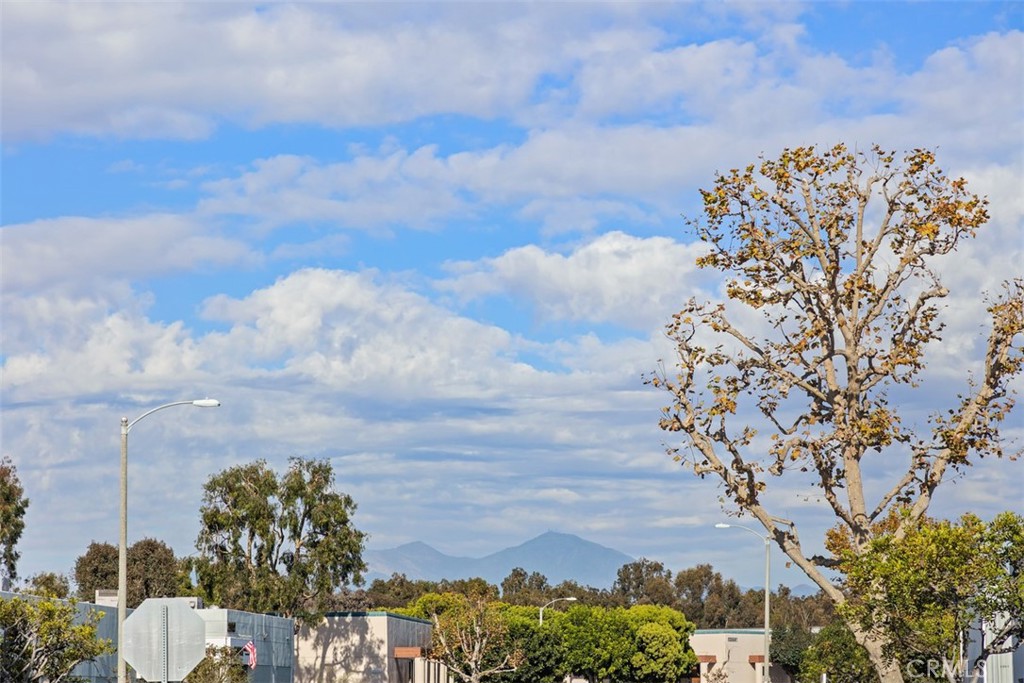 26000 Avenida Aeropuerto 12