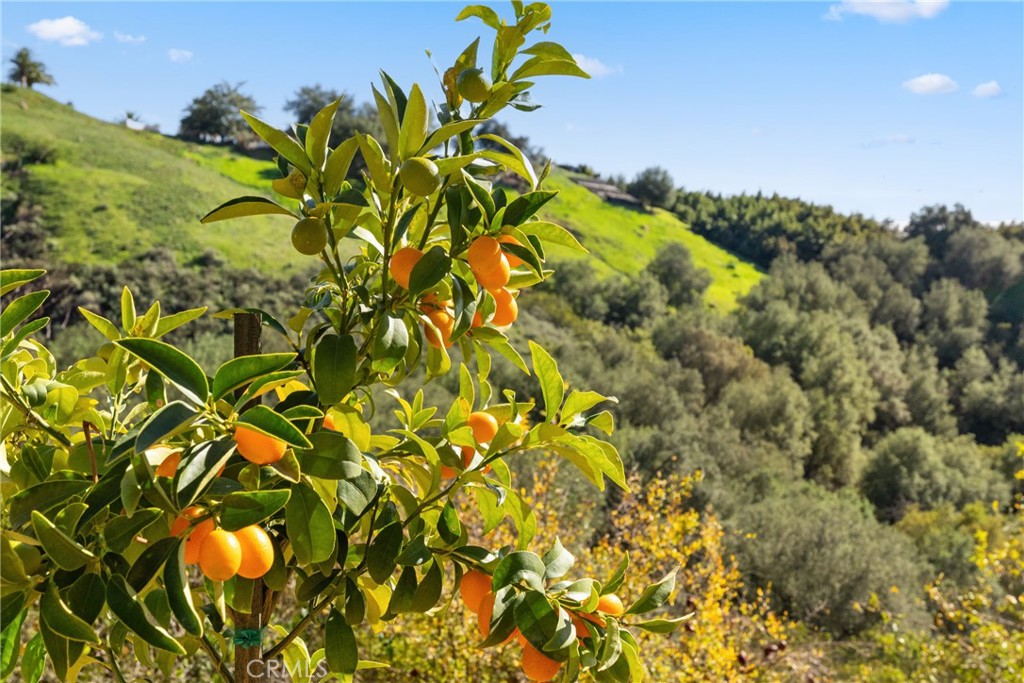 44930 Via Renaissance