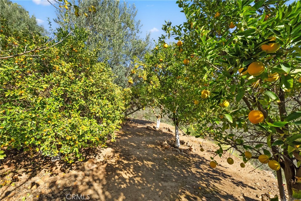 44930 Via Renaissance