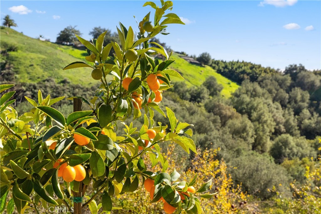 44930 Via Renaissance