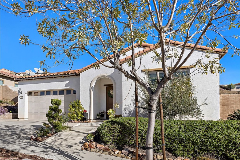 24636 Overlook Drive