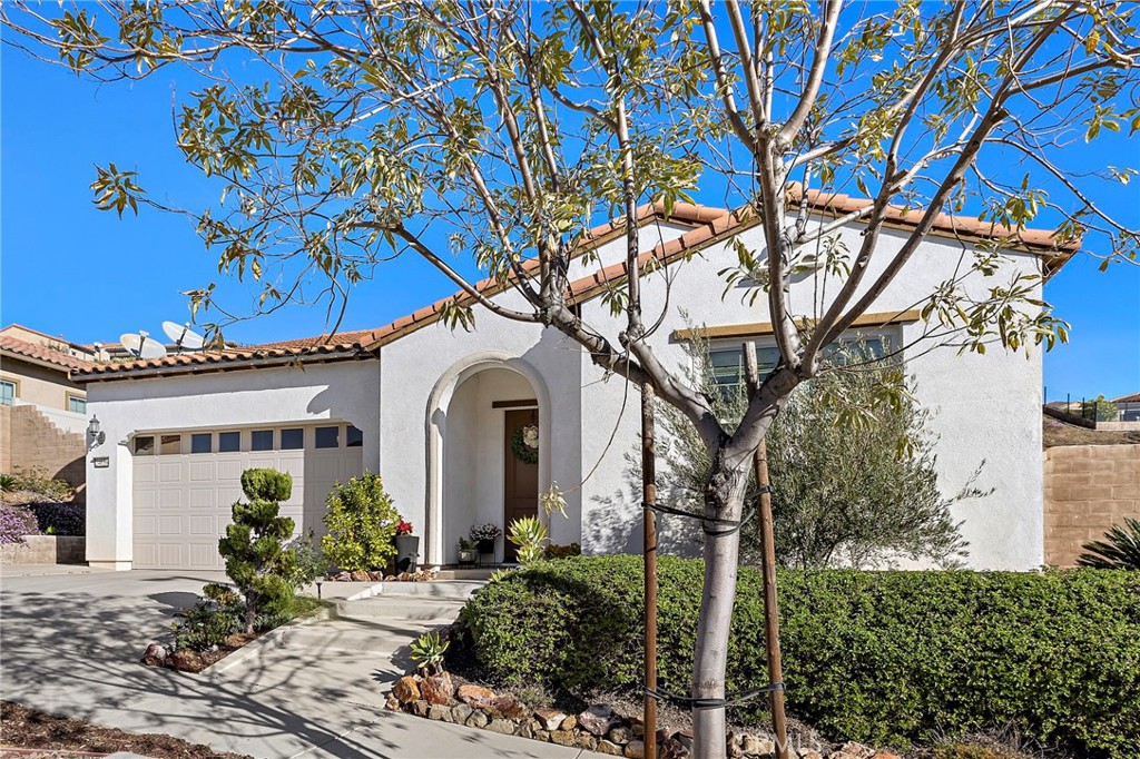 24636 Overlook Drive