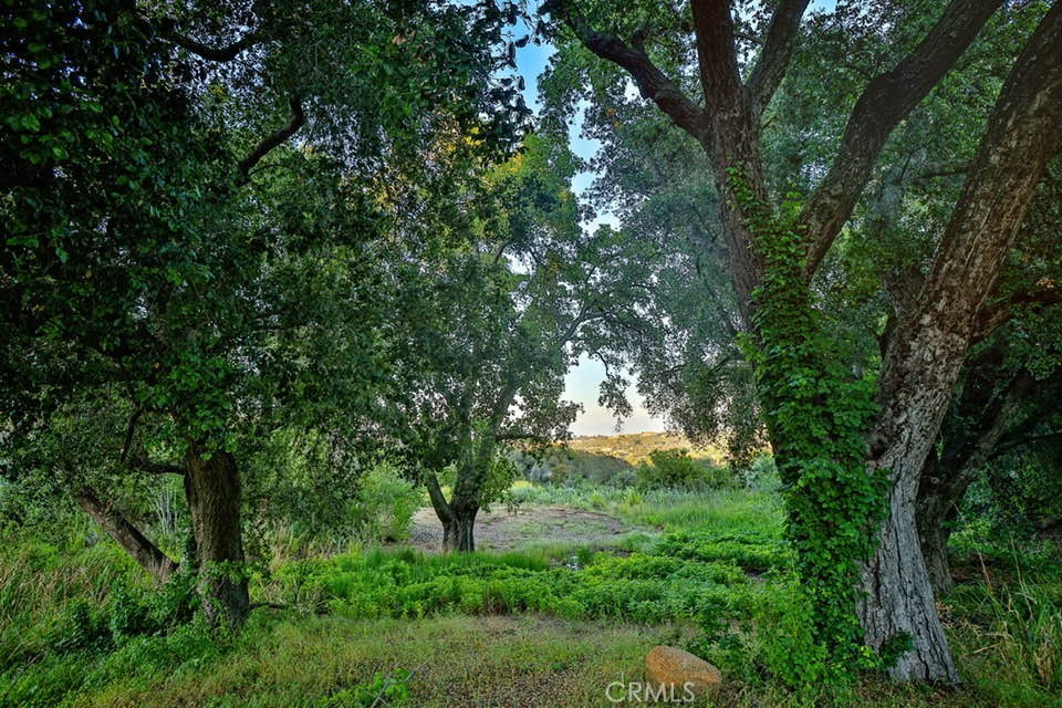 42050 Avenida Escala