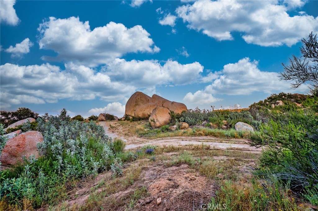 42050 Avenida Escala