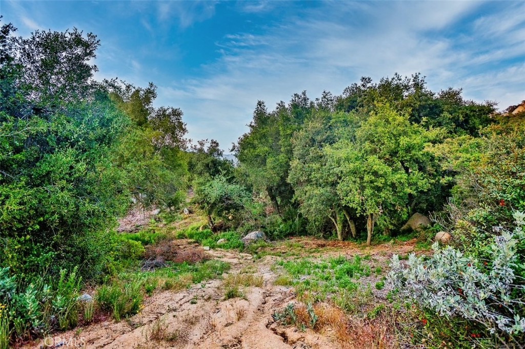 42050 Avenida Escala