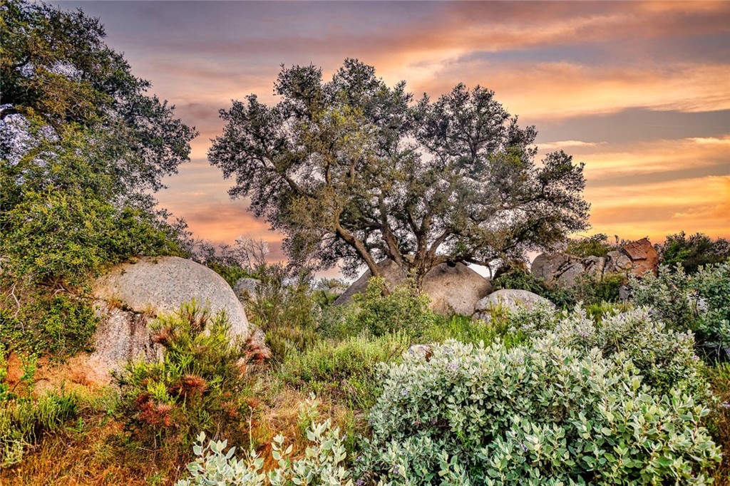 42050 Avenida Escala