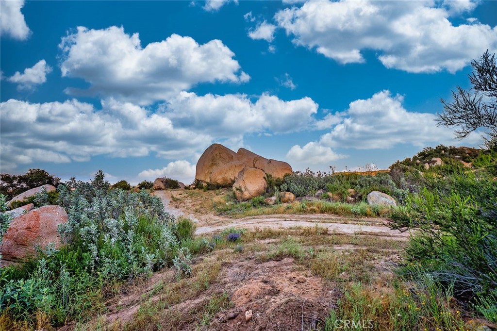 42050 Avenida Escala